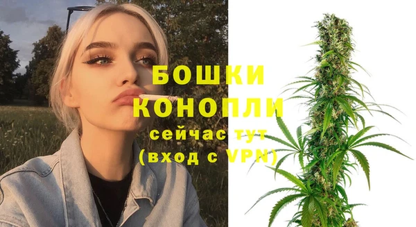 spice Елизово