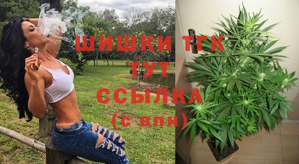 spice Елизово