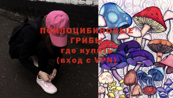 соль курить ск Ельня