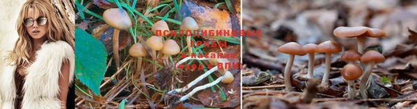 герыч Елабуга
