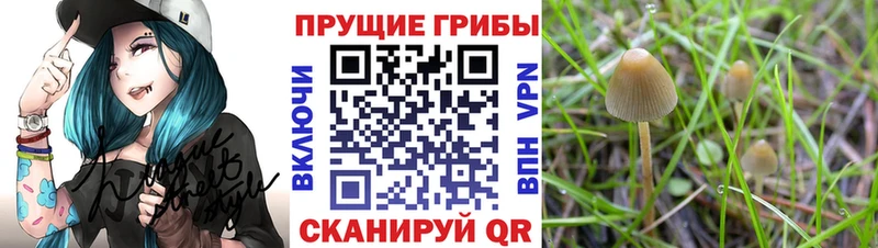Галлюциногенные грибы ЛСД  закладки  даркнет наркотические препараты  Южно-Сахалинск 