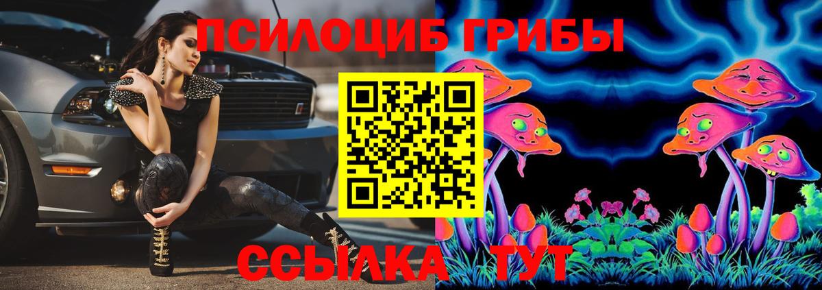Галлюциногенные грибы Cubensis Южно-Сахалинск